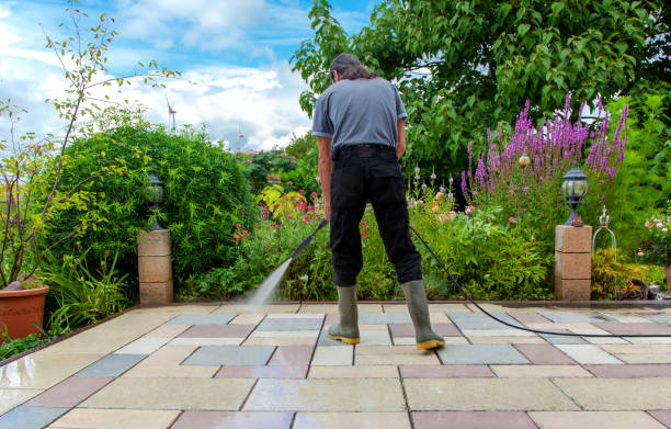 Best Driveway Pressure Washing  in Taylor Mill, KY